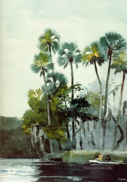  aquarell - Homosassa Fluss Winslow Homer Aquarelle